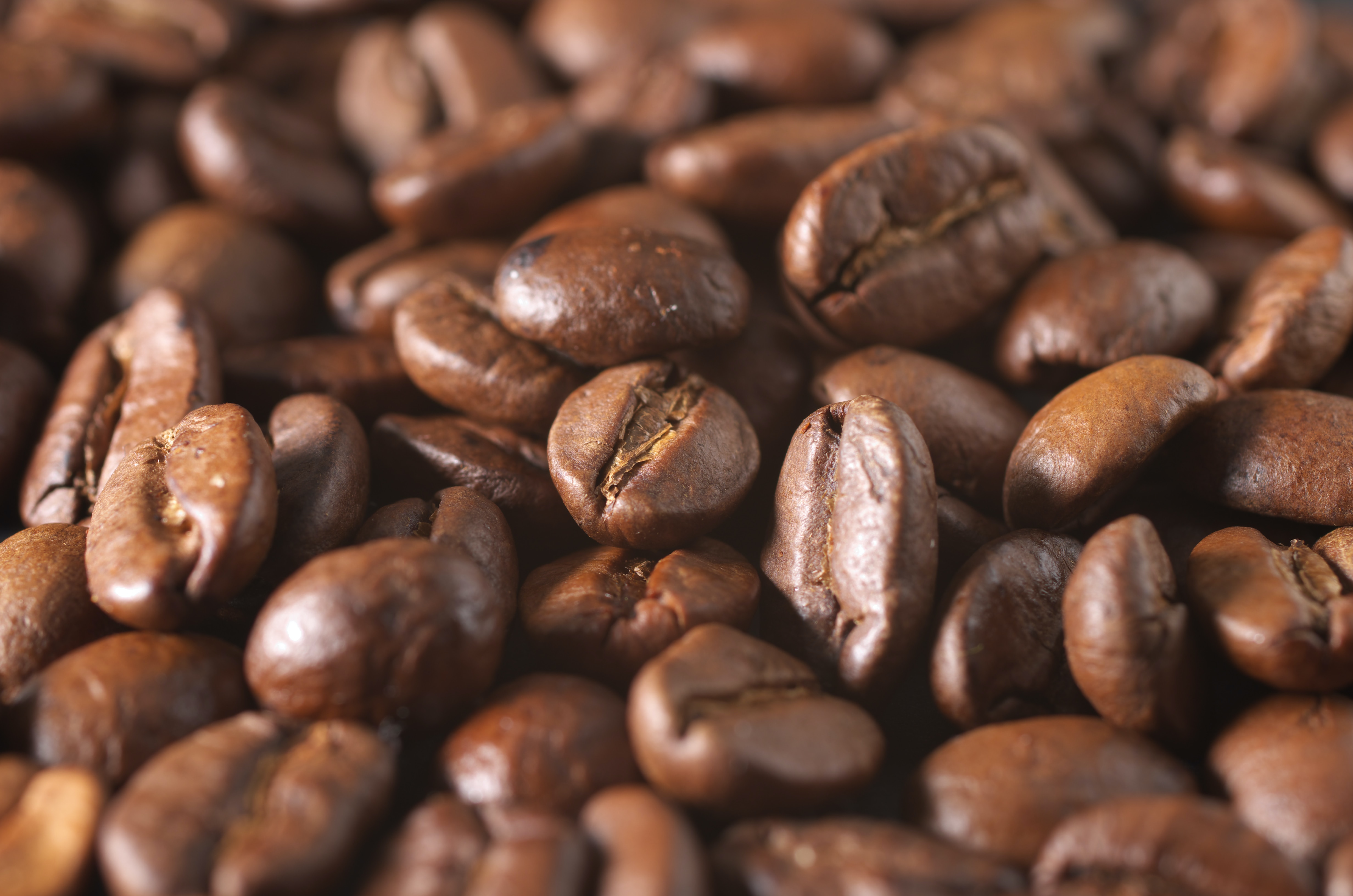 Image of roasted coffee beans.
